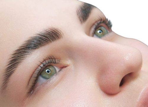 Photo of a woman's eyebrows after brow lamination