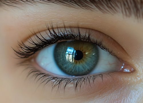 Photo of a woman's eye and lashes after a lash tint